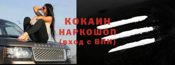 гашик Алексин