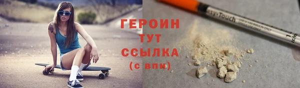 гашик Алексин