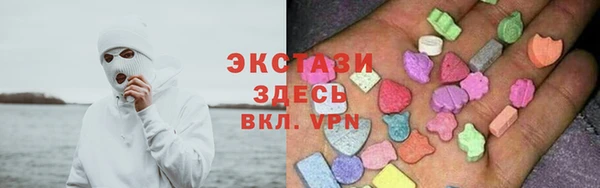 гашик Алексин