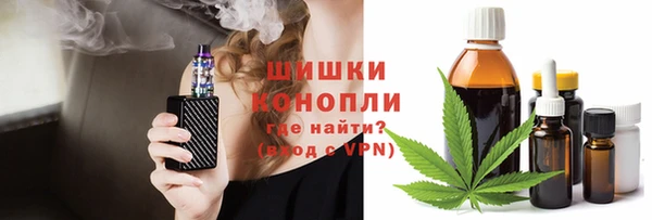гашик Алексин