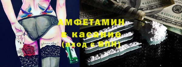гашик Алексин