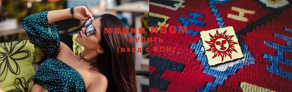 гашик Алексин