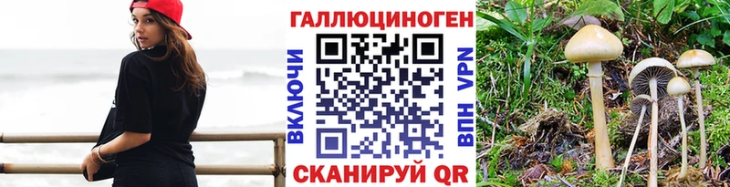 Псилоцибиновые грибы GOLDEN TEACHER  Кукмор 